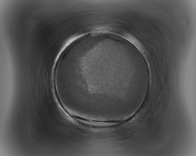 X0000086761392200704201736