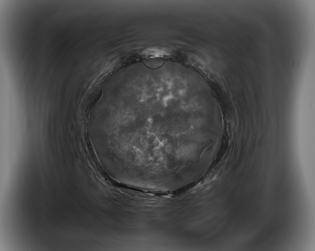 X0000086761393200704201736