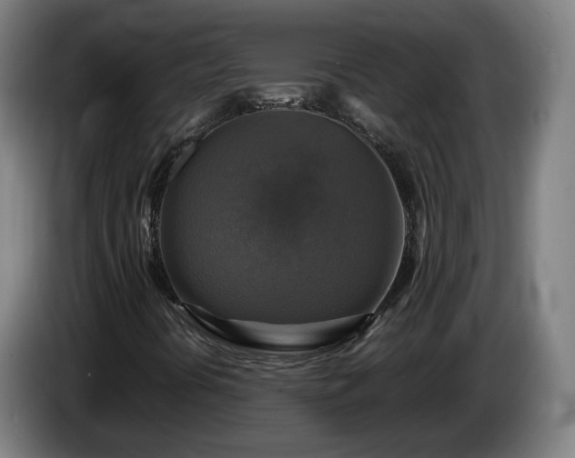 X0000086761394200704201736
