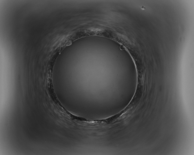 X0000086761397200704201736
