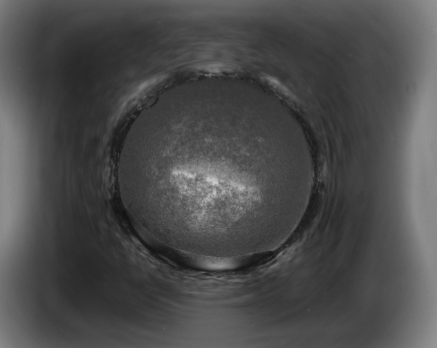 X0000086761398200704201736