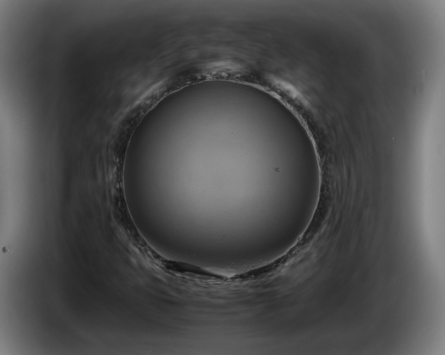 X0000086761399200704201736