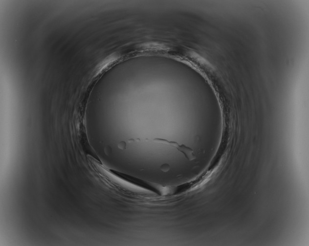 X0000086761401200704201736