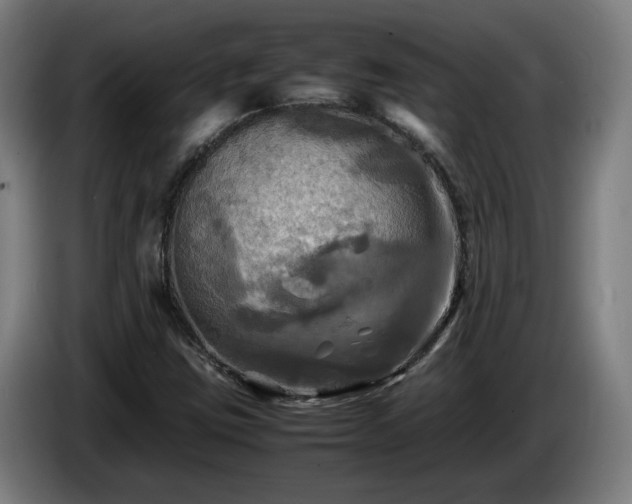 X0000086761403200704201736