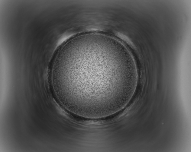 X0000086761404200704201736