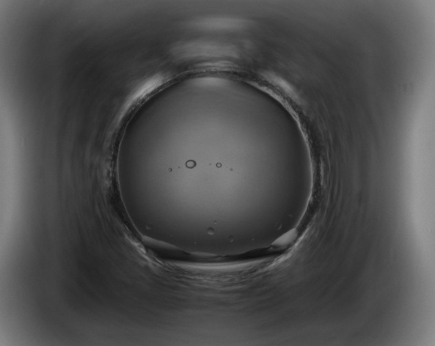 X0000086761405200704201736