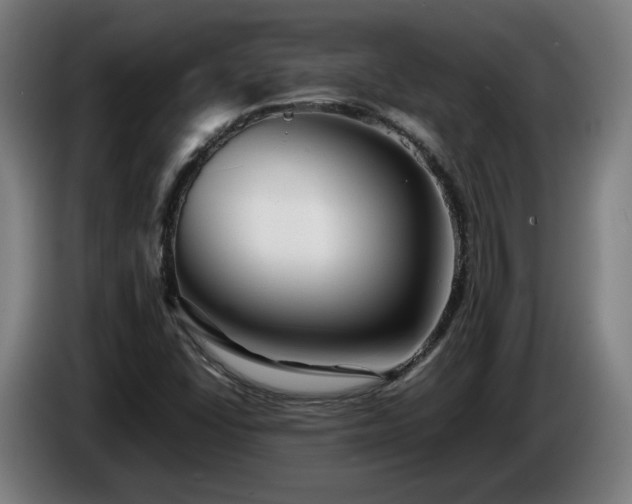 X0000086761406200704201736