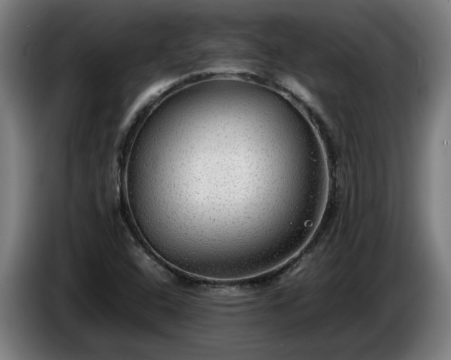 X0000086761408200704201736