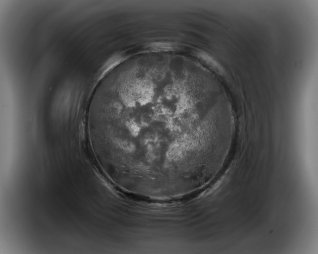 X0000086761409200704201736