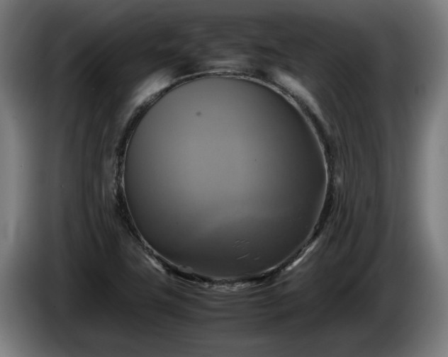 X0000086761411200704201736