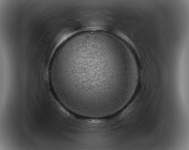 X0000086761412200704201736