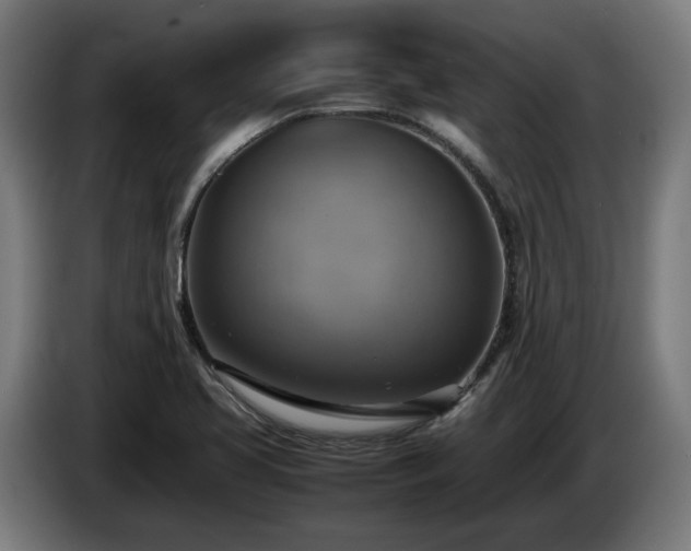 X0000086761413200704201736