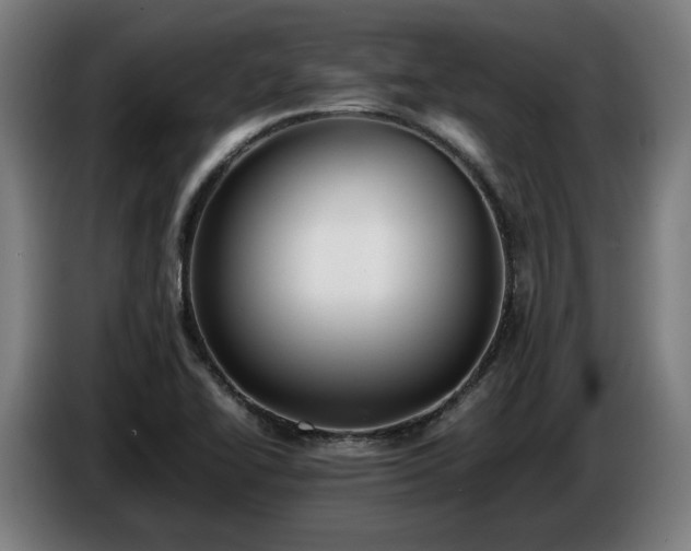 X0000086761414200704201736