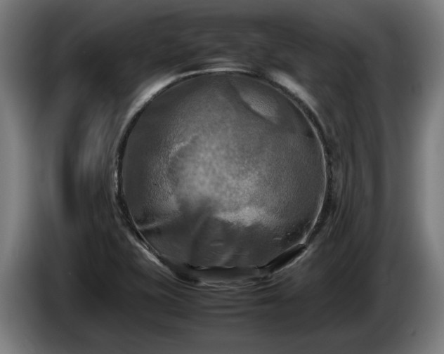 X0000086761415200704201736