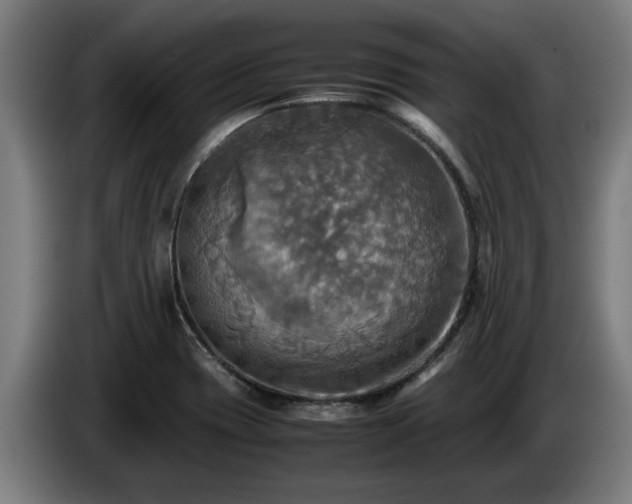 X0000086761417200704201736