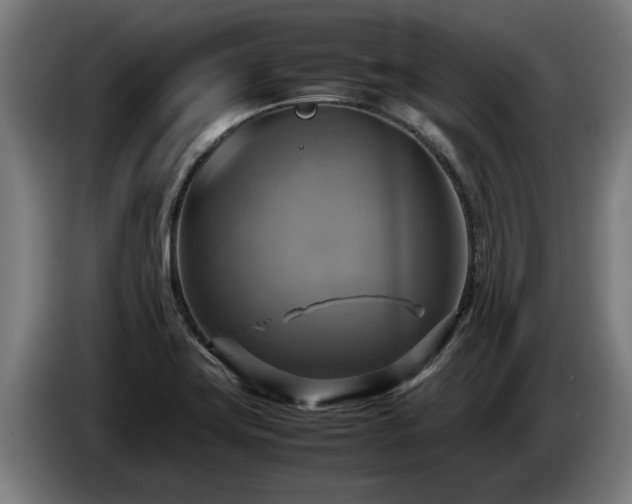 X0000086761419200704201736
