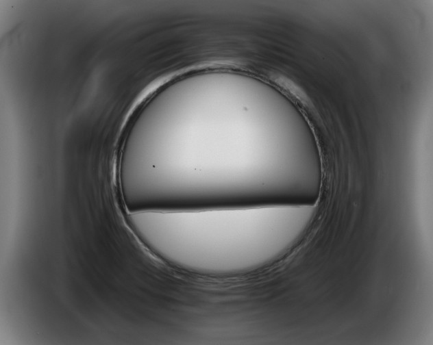 X0000086761420200704201736