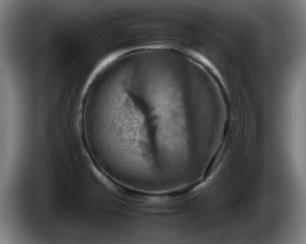 X0000086761421200704201736