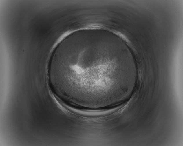 X0000086761422200704201736
