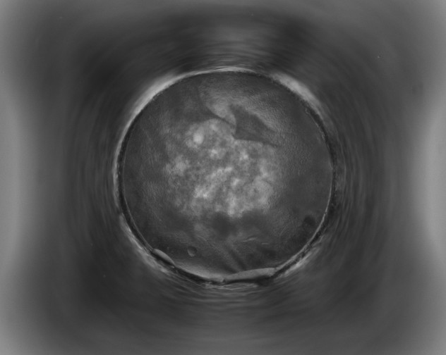 X0000086761423200704201736