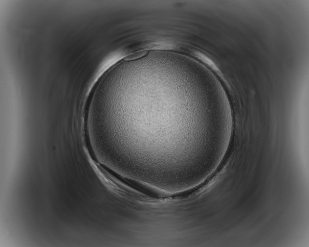 X0000086761426200704201736