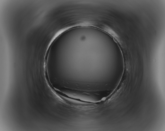 X0000086761428200704201736