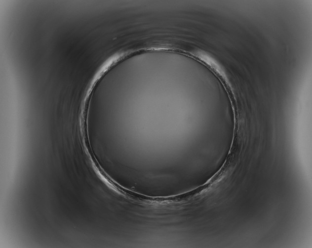 X0000086761429200704201736