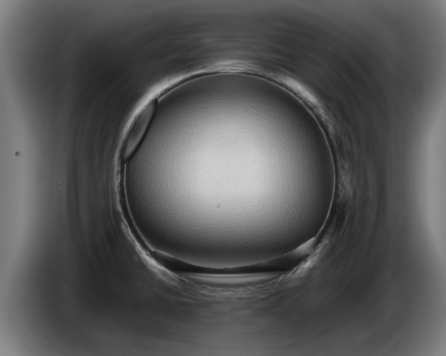 X0000086761430200704201736