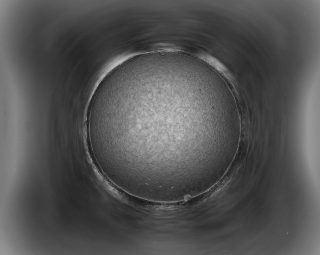 X0000086761431200704201736