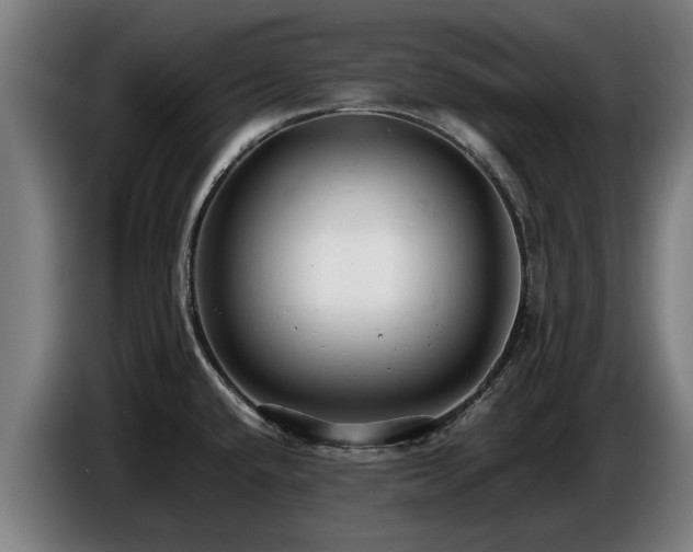 X0000086761432200704201736