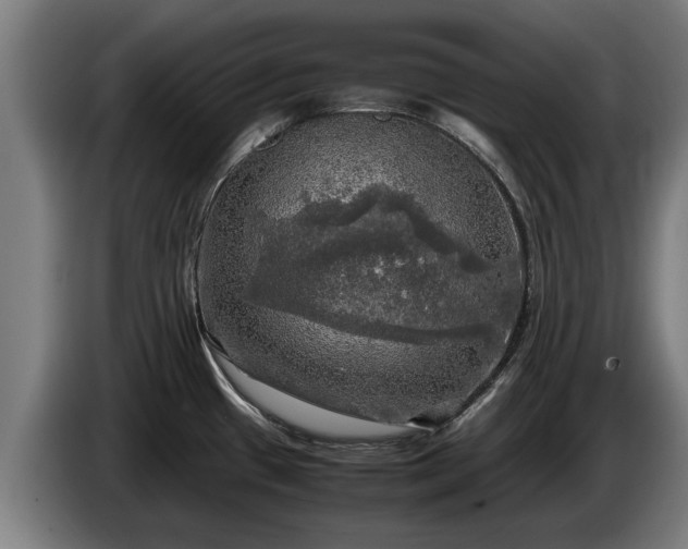 X0000086761433200704201736