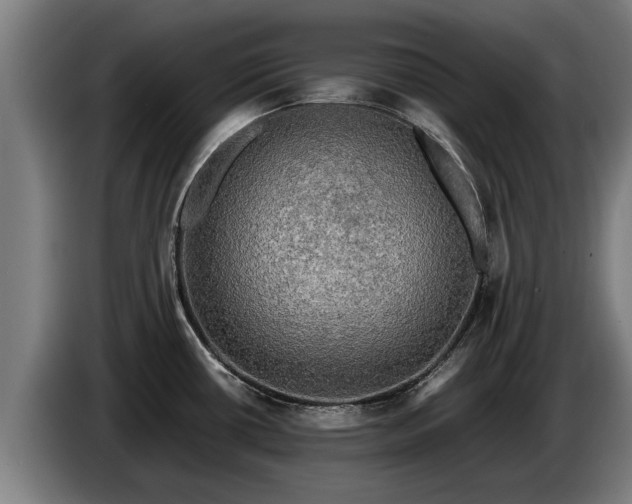 X0000086761434200704201736