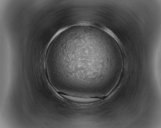 X0000086761436200704201736