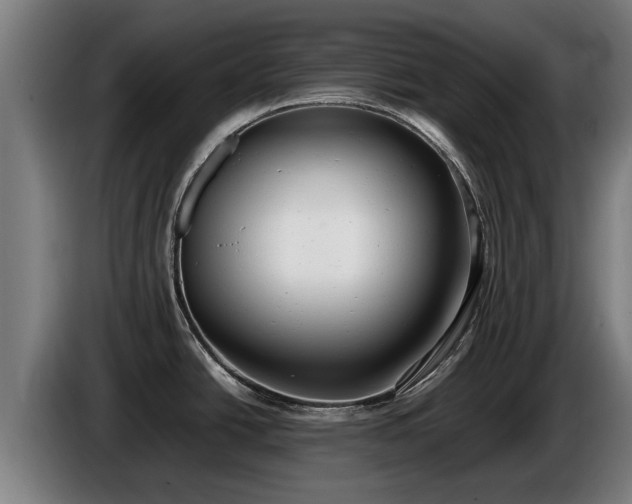 X0000086761438200704201736