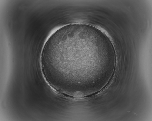 X0000086761440200704201736