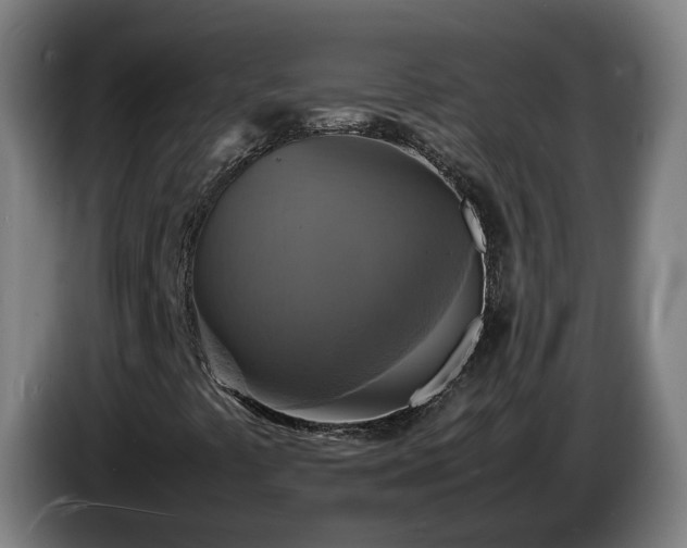 X0000086761441200704201736
