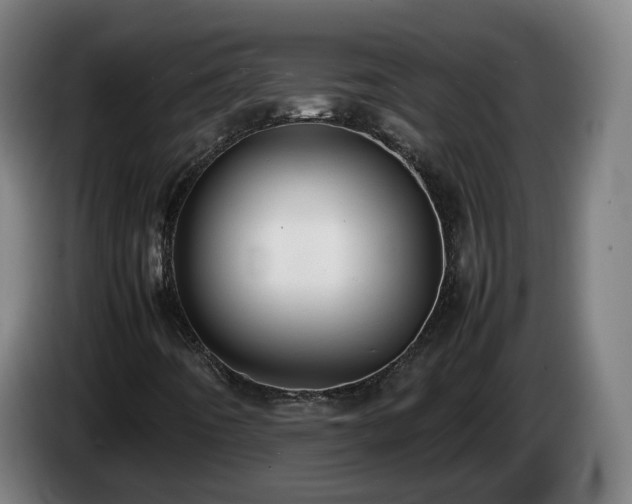X0000086761442200704201736