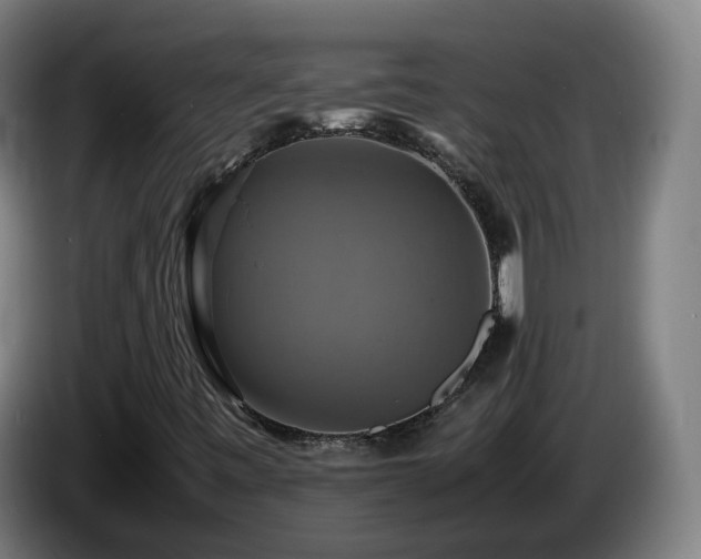 X0000086761443200704201736
