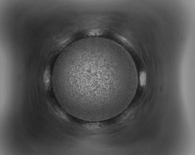 X0000086761444200704201736