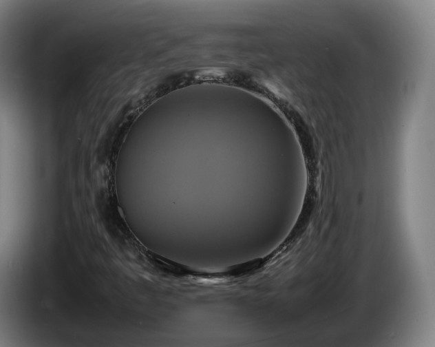 X0000086761445200704201736