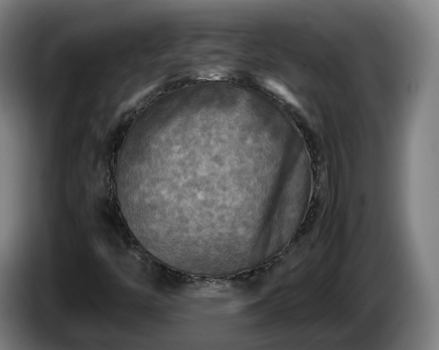 X0000086761446200704201736
