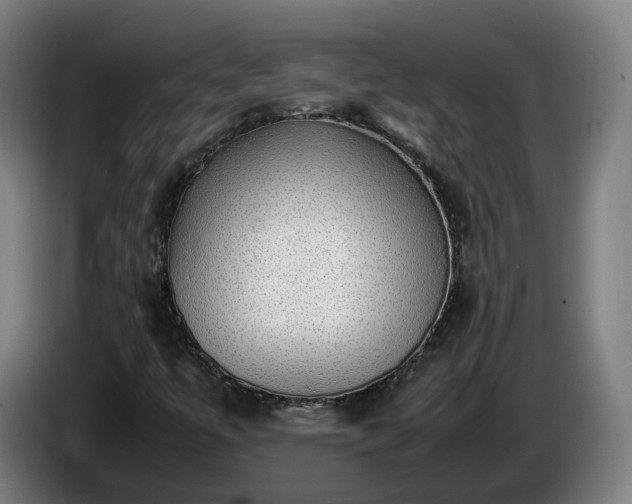 X0000086761447200704201736