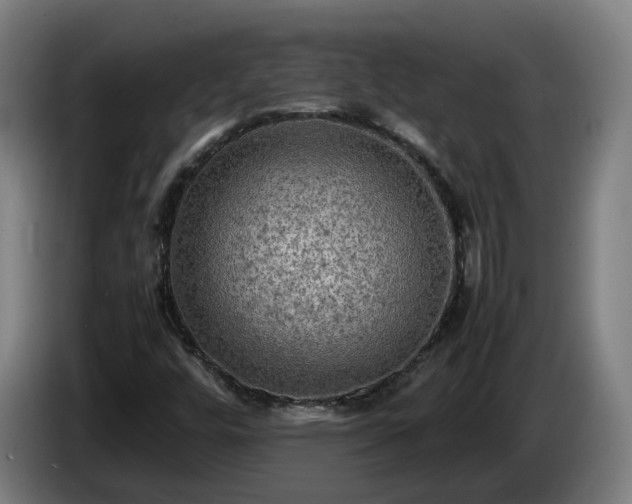 X0000086761448200704201736