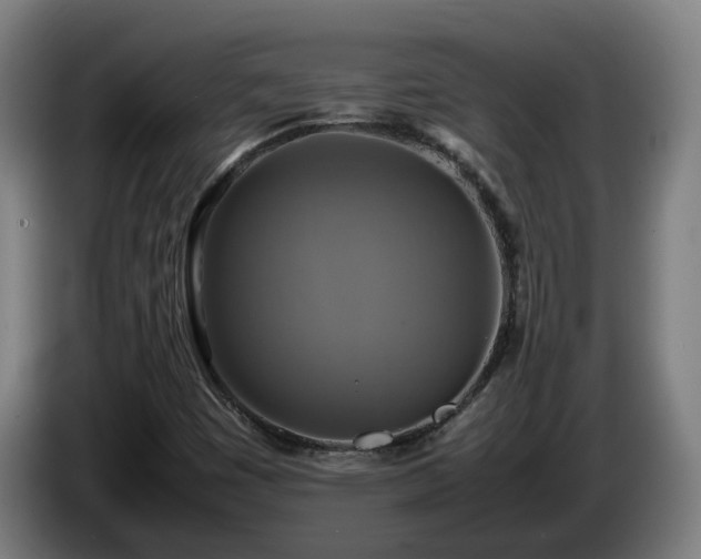 X0000086761449200704201736
