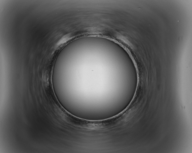 X0000086761451200704201736