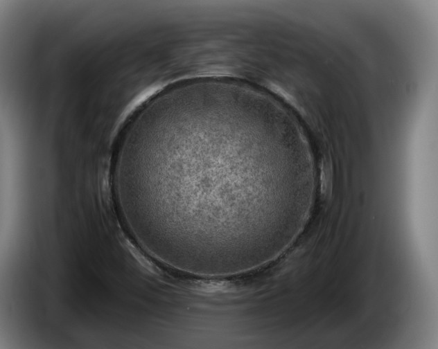 X0000086761452200704201736