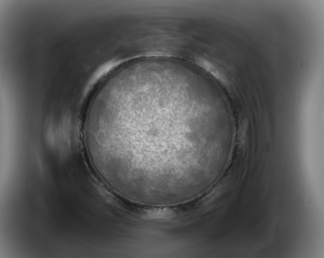 X0000086761454200704201736