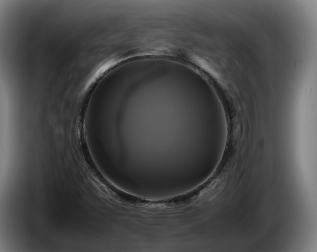 X0000086761455200704201736