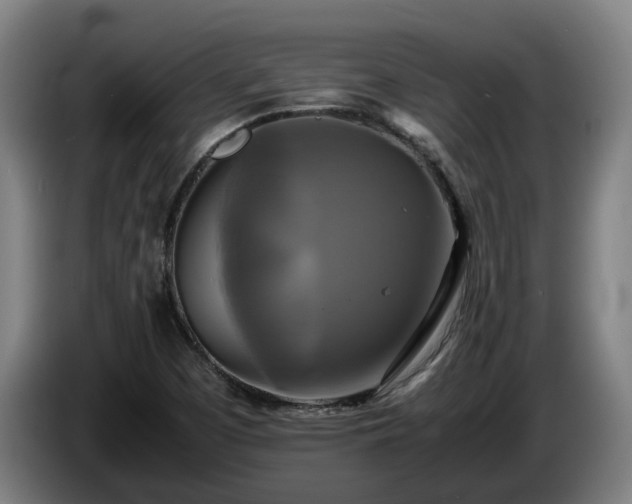 X0000086761457200704201736