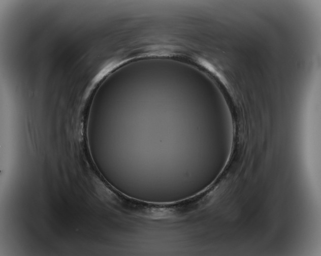 X0000086761459200704201736